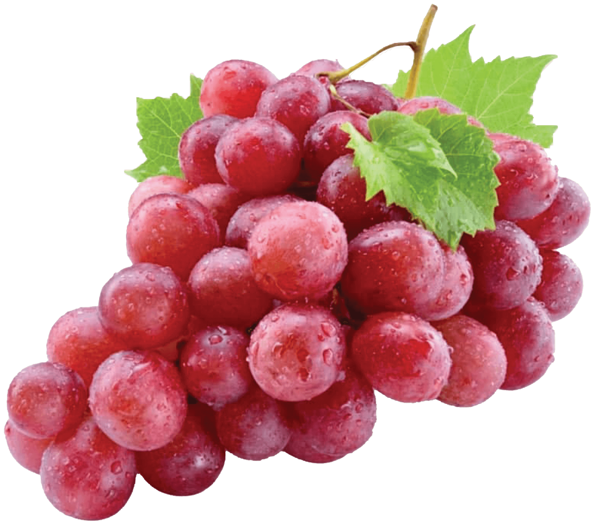 grape fruit