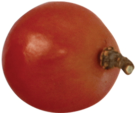 grape right